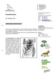 schmuck13.pdf - Landesbetrieb Forst Brandenburg