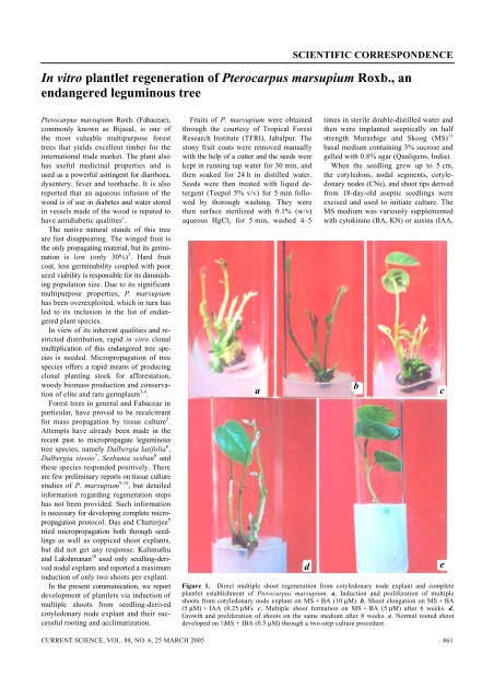 In vitro plantlet regeneration of Pterocarpus marsupium Roxb ... - IISc