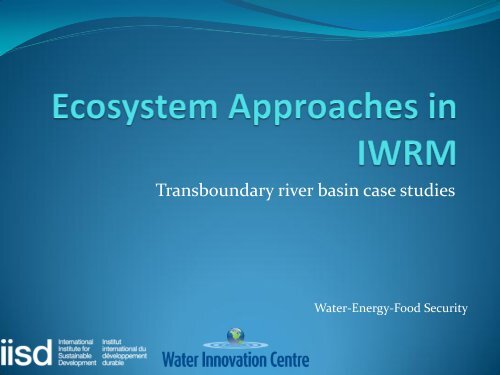 Ecosystem Approaches in IWRM - International Institute for ...