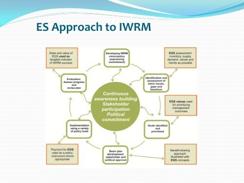 Ecosystem Approaches in IWRM - International Institute for ...