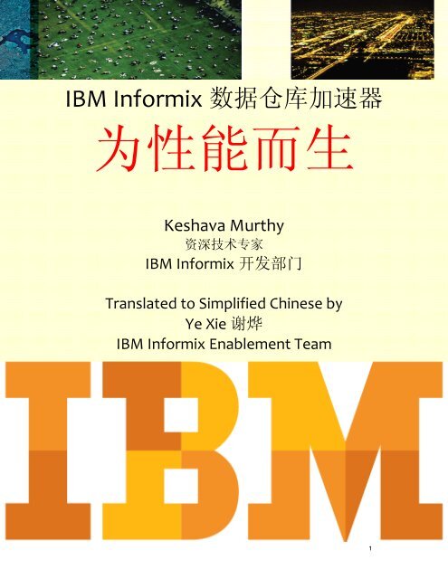 IBM Informix 数据仓库加速器