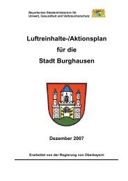 6 Angaben zu bereits durchgeführten Maßnahmen - Stadt Burghausen