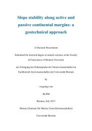 Slope stability along active and passive continental margins ... - E-LIB