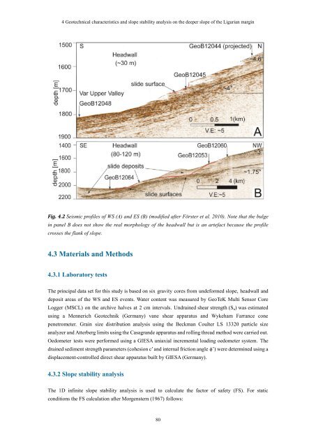 Slope stability along active and passive continental margins ... - E-LIB