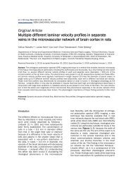 Multiple different laminar velocity profiles in separate veins in the ...