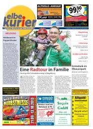 magdeburg - elbe-kurier