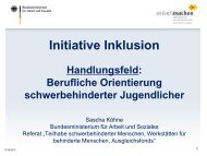 Initiative Inklusion - Berufliche Orientierung - BAG UB eV