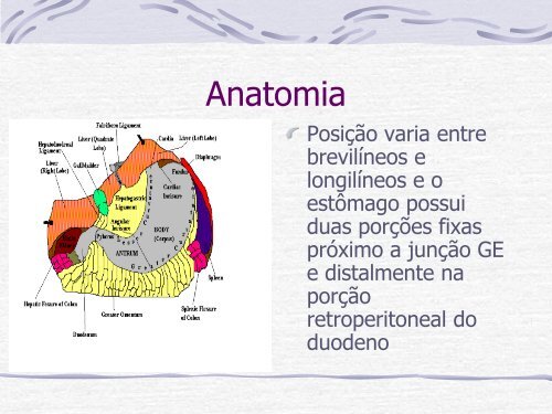 Videocirurgia EsÃ´fago-GÃ¡strica. - IJP