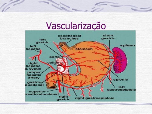 Videocirurgia EsÃ´fago-GÃ¡strica. - IJP