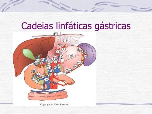 Videocirurgia EsÃ´fago-GÃ¡strica. - IJP