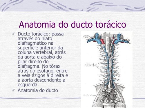 Videocirurgia EsÃ´fago-GÃ¡strica. - IJP