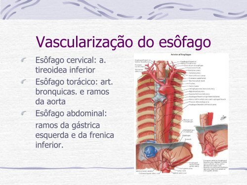 Videocirurgia EsÃ´fago-GÃ¡strica. - IJP