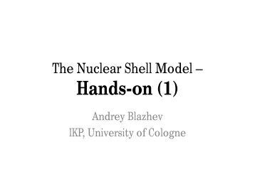 Andrey Blazhev - Institute for Nuclear Physics