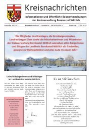 Ausgabe KW 51 - 17.12.2013 - Landkreis Bernkastel-Wittlich