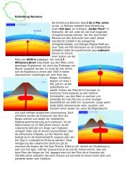 Entstehung RÃ©unions