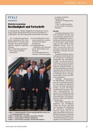 PFALZ BestÃ¤ndigkeit und Fortschritt - ikz-energy