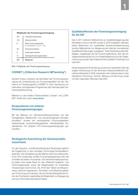 Geschäftsbericht 2012 - DVS