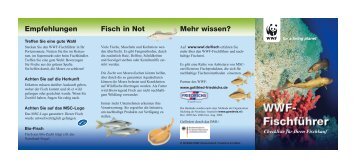 Fischführer - yaqu pacha