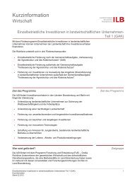 Große Richtlinie - Kurzinformation (PDF 94 kB) - ILB