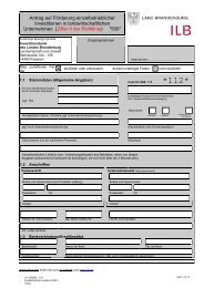 Antrag Teil 2 - ILB