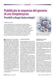 Pubblicata la sequenza del genoma di uno Streptomyces Possibili ...