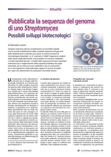 Pubblicata la sequenza del genoma di uno Streptomyces Possibili ...