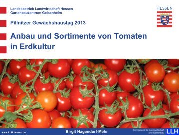 Anbau und Sortimente von Tomaten in Erdkultur [Download,*.pdf, 4 ...