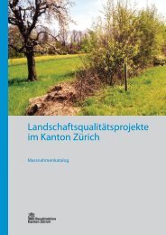 Massnahmenkatalog (PDF, 11 Seiten, 343 kB) - Amt für Landschaft ...