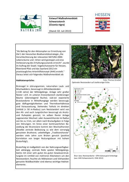 Maßnahmenblatt Schwarzstorch - Staatliche Vogelschutzwarte für ...