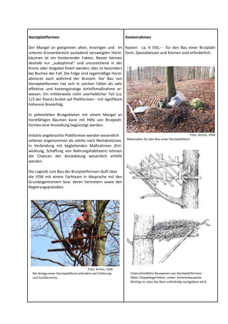 Maßnahmenblatt Schwarzstorch - Staatliche Vogelschutzwarte für ...