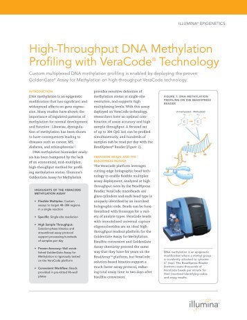 High-Throughput DNA Methylation Profiling with ... - Illumina