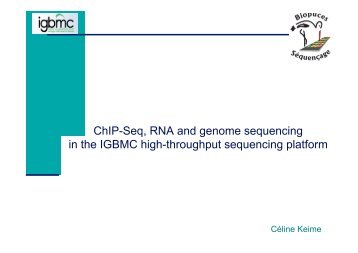 ChIP-Seq, RNA and genome sequencing in the IGBMC ... - Illumina