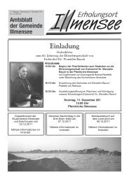 Amtsblatt Nr. 24 / KW 48 vom 01.12.2011 - Illmensee