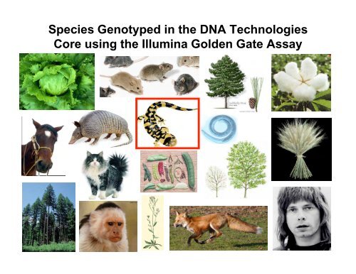 GENOME AND BIOMEDICAL SCIENCES FACILITY - Illumina