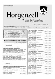 Ausgabe vom 01.Februar 2013 - Horgenzell