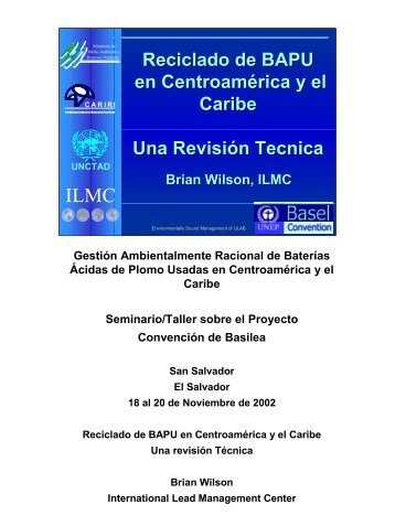 UNA REVISIÓN TECNICA con los anexos.pdf - the International ...