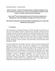 Assessment Report 1 - the International Lead Management Center ...