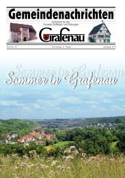 Sommer in Grafenau