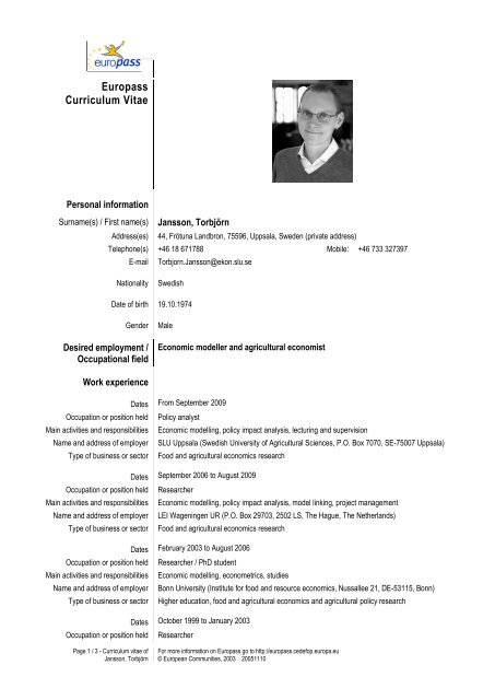 Download Cv As Pdf
