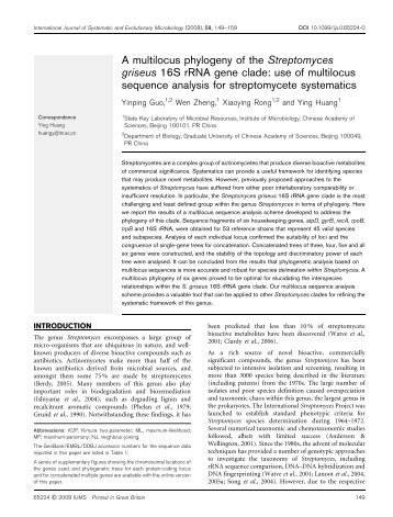A multilocus phylogeny of the Streptomyces griseus 16S rRNA gene ...