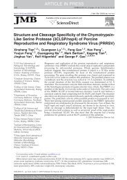 Structure and Cleavage Specificity of the Chymotrypsin-Like Serine ...