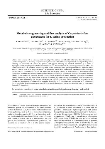 Metabolic engineering and flux analysis of Corynebacterium ...