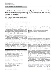 characterization and spreadability of protocatechuate 4,5-cleavage