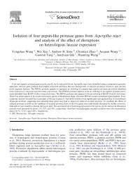 Isolation of four pepsin-like protease genes from Aspergillus niger ...