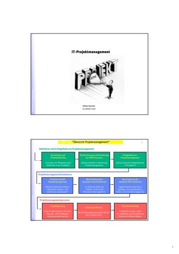 IT-Projektmanagement - Information Management