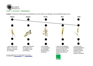 Getreide (Arten, Gerteide selber mahlen) - information.medien.agrar ...