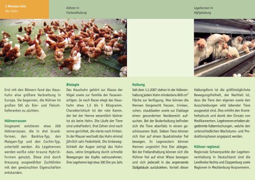 Das Huhn - information.medien.agrar eV