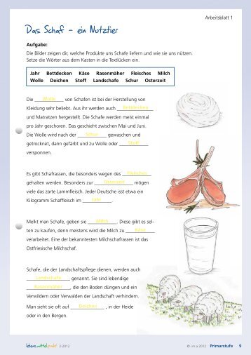 Das Schaf als Nutztier, Schafequiz