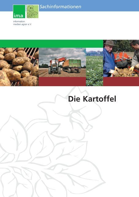 Die Kartoffel - information.medien.agrar eV