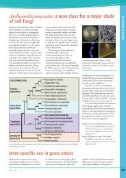 Archaeorhizomycetes: a new class for a major clade of ... - IMA Fungus